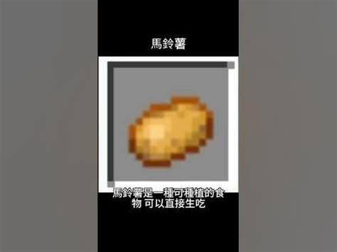 minecraft 馬鈴薯